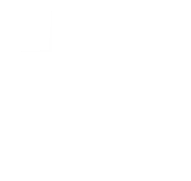 Logo IPA